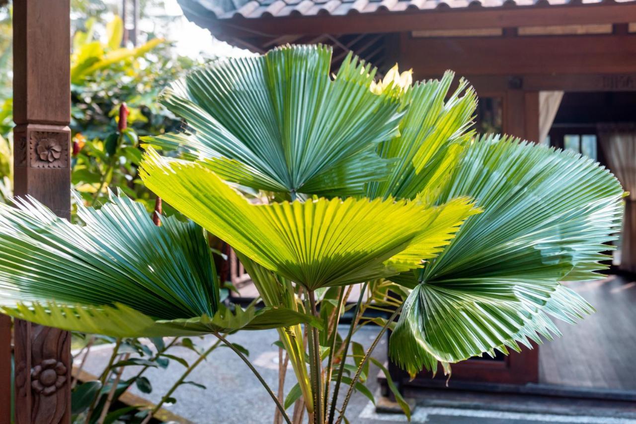 Villa Waturenggong Ubud Ngoại thất bức ảnh